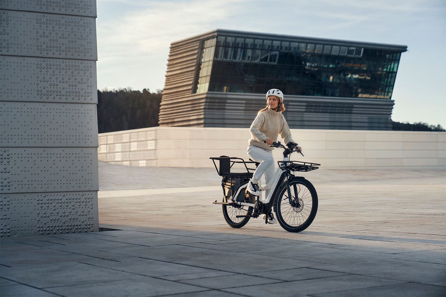 Bicicleta cargo bike de Riese Muller modelo Multicharger Mixte