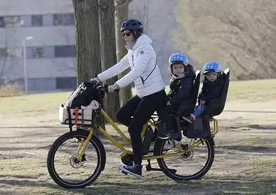 Cómo elegir tu E-bike longtail ideal