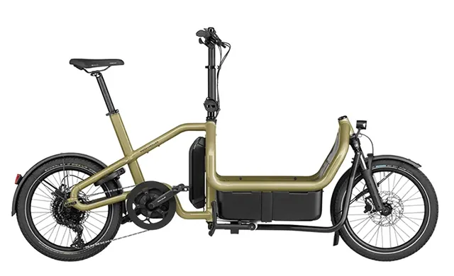 Cargo Bike Riese and Müller Carrie
