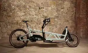 Riese & Müller Load4 60 Rohloff