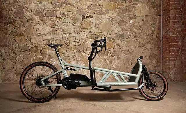 Riese & Müller Load4 60 Rohloff