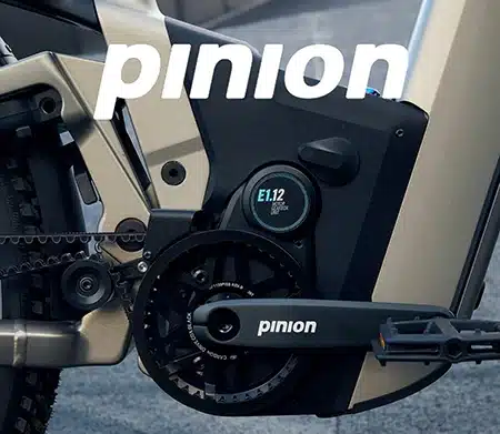 Baterías Pinion