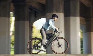 bicicletas riesse muller eletricas por la ciudad