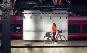 estacion de tren riese muller