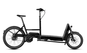 riese muller transporter 65