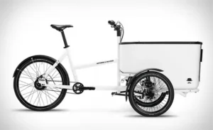 triciclo electrico cargo bike butcher