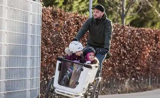 guia como elegir ebike